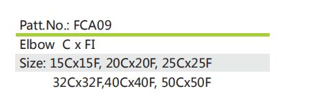 FCA09描述