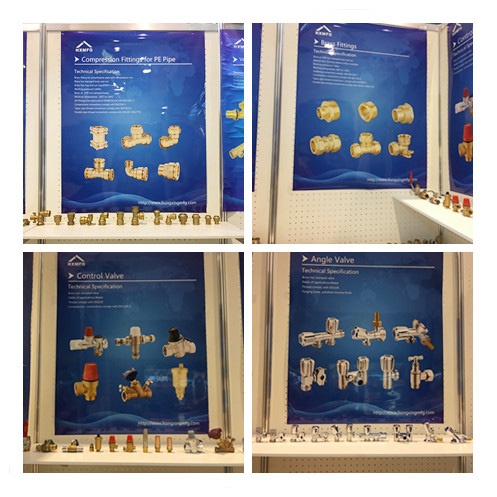 IMG_2915_副本_副本